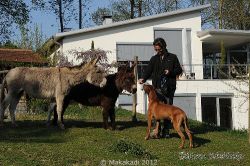 20110417_Makakadi_Mit unseren Eseln Simon Susi_0452